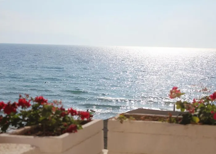 Hotel Ladies Beach 3*